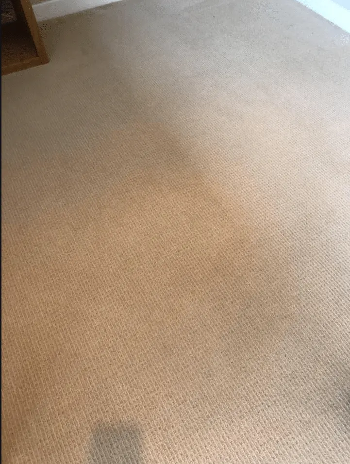 The same bedroom carpet spotless after Dry Fusion cleaning