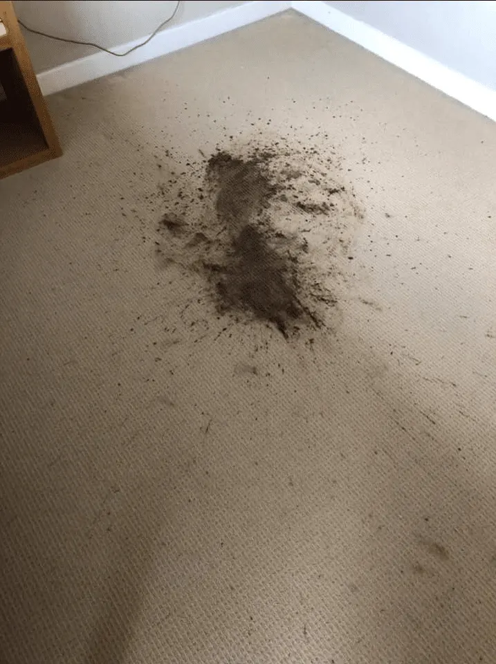 Bedroom carpet with a large mud stain before cleaning