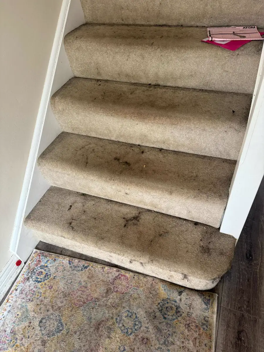 Heavily soiled stair carpet before cleaning