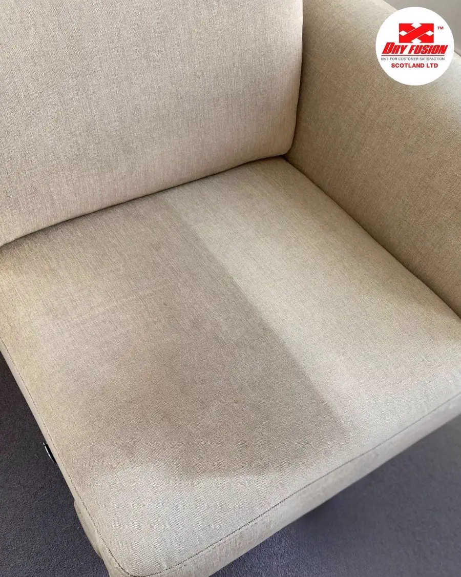 Sofa being professionally cleaned