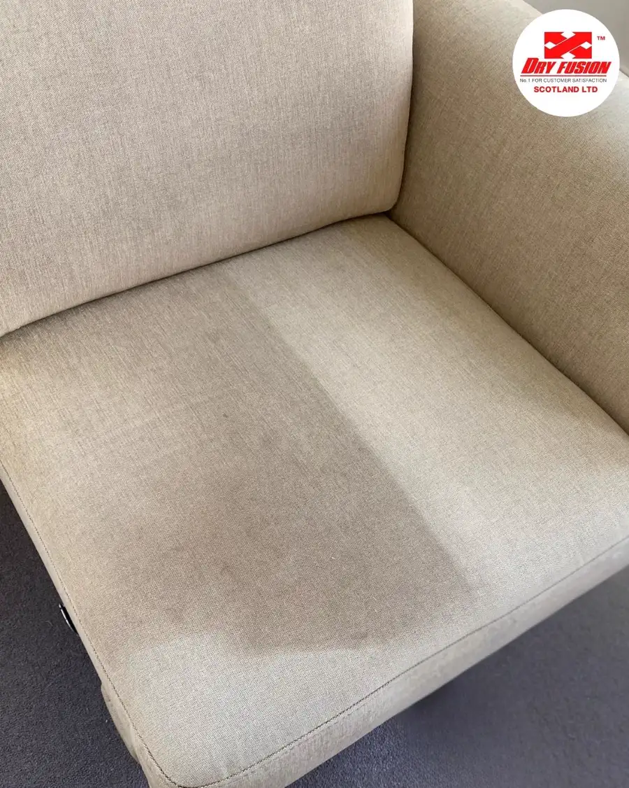 Armchair cushion halfway through cleaning, with a clear line between the cleaned and uncleaned fabric