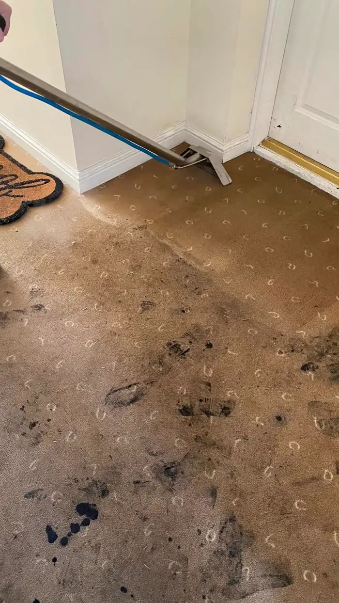 Hallway carpet halfway through cleaning, with muddy footprints being extracted